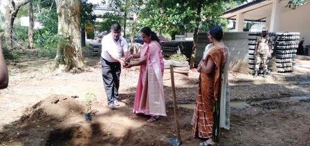 Tree planting program implemented in the office premises
